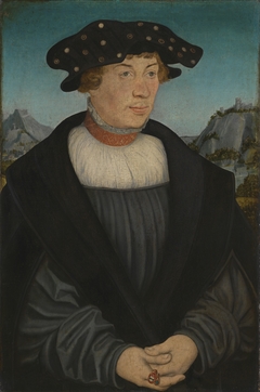 Bildnis des Hans(?) Melber by Lucas Cranach the Elder