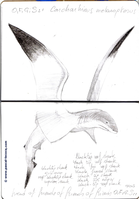 Exhibit image
