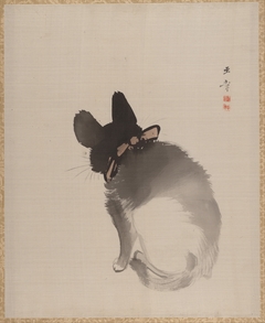 Cat Seen from Behind by Kawabata Gyokushō