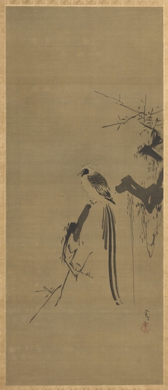 Dove and Long-tailed Bird by Kanō Tsunenobu