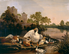 Ducks in a Wooded Landscape by Dirck Wijntrack