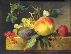 Fruit Still Life by Jan van Huysum