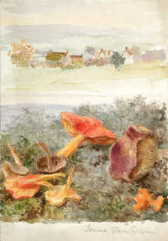 Fungi and Landscape by Louisa Starr