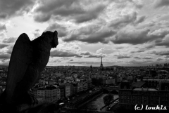 Guarding Paris by Loukas Dimitropoulos