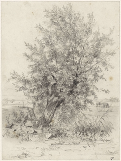 Knotwilg in een landschap by Johan Daniël Koelman