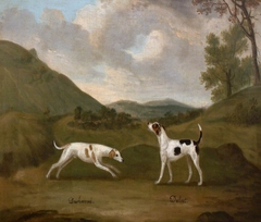 Late Compton's 'Dashwood' and 'Dulcet', a Pair of Hounds by Francis Sartorius