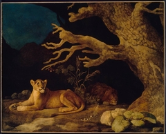 Lion and Lioness by George Stubbs