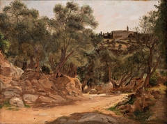 Olive Grove from Tivoli near Rome by Jørgen Roed