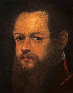 Portrait of a Bearded Man by Jacopo Tintoretto