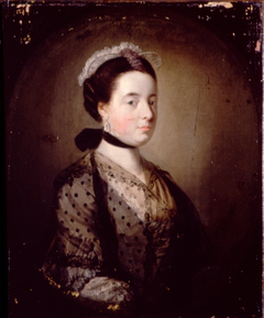 Portrait of A Lady by Tilly Kettle