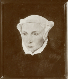 Portrait of a Woman of the Centen Family by Willem Key