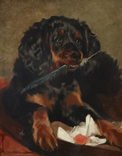 Queen Victoria's Spaniel ‘Tilco’ (d.1850) by Edwin Henry Landseer