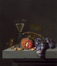 Still Life with Fruit by Jacob van Walscapelle