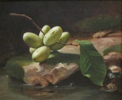 Still-life with Paw Paws by Edward Edmondson