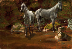 Study of Wild Horses by Albert Bierstadt