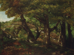 The Fringe of the Forest by Gustave Courbet