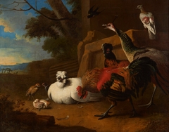 The poultry yard by Melchior d'Hondecoeter