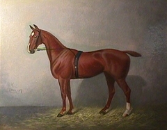 Title Unknown (Painting of a Horse) by CAS