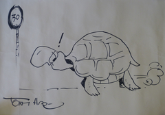 Tortoise Racing by Tony Hart