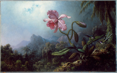 Two Hummingbirds with an Orchid by Martin Johnson Heade