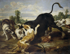 A Bull torn apart by Dogs by Paul de Vos