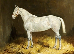 A Grey Mare, 'Twilight' by George Richard Pain