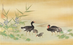 Black Birds and Tree Chickens in Pond Amid Lotus and Water Plantain by Kanō Yasunobu