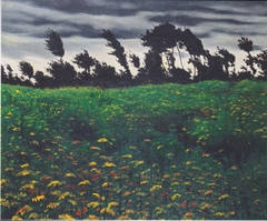 Blooming Field by Félix Vallotton