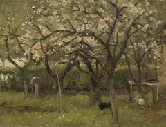 Blossoming Tree in an Orchard by Geo Poggenbeek