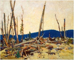 Burnt Land by Tom Thomson