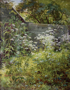 Corner Overgrown Garden. Aegopodium-grass by Ivan Shishkin