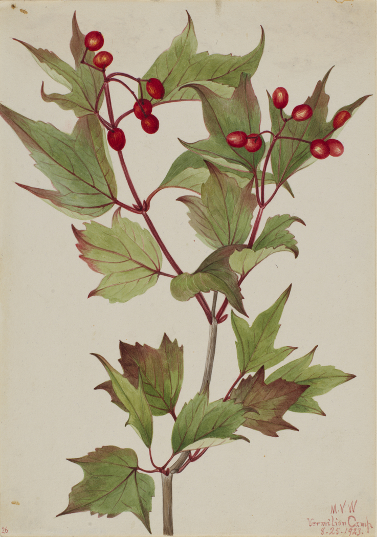 Exhibit image