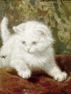 Curiosity by Henriëtte Ronner-Knip