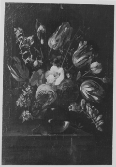 Display of Flowers by Gaspar Peeter Verbruggen the Younger