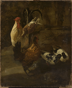 Domestic fowls by Jacomo Victors