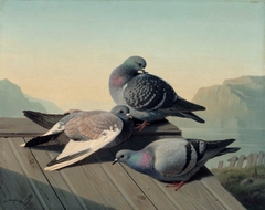 Doves on a Roof by Ferdinand von Wright