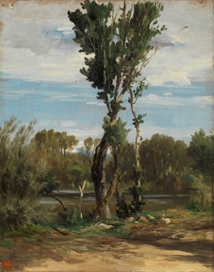 El lago de la Casa de Campo by Carlos de Haes