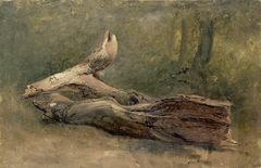 Étude d'arbre couché by Achille Etna Michallon