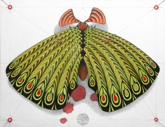 green moth - ORIGINAL SOLD by federico cortese