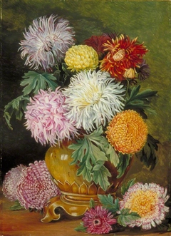 Japanese Chrysanthemums, Cultivated in This Country by Marianne North