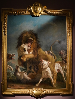 Lion d'afrique dogues by Jean-Jacques Bachelier