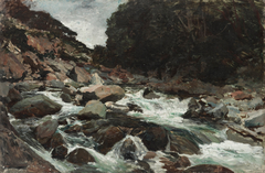 Mountain Stream, Otira Gorge by Petrus Van der Velden