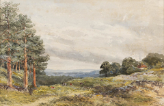 Near Lyndhurst, New Forest by Lydia Etheldreda Birch