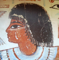 Nebamun hunting in the marshes by Anonymous