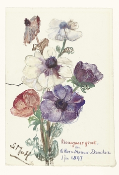 Nieuwjaarsgroet met anemonen by Sientje Mesdag-van Houten