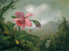 Orchid and Hummingbird near a Mountain Waterfall by Martin Johnson Heade