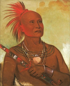 Pam-a-hó, The Swimmer, One of Black Hawk's Warriors by George Catlin