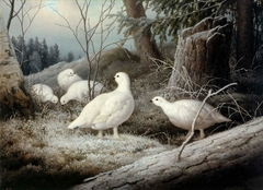 Ptarmigans by Ferdinand von Wright