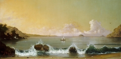 Rio de Janeiro Bay by Martin Johnson Heade