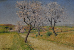 Route de Cailhavel, amandiers en fleurs by Achille Laugé